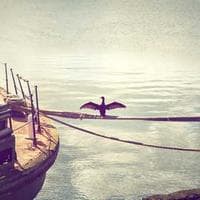 Alliance Media Ethiopia logo