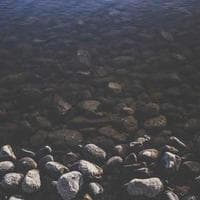 AppDiv System Development logo