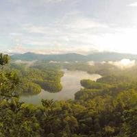 Information Network Security Agency logo