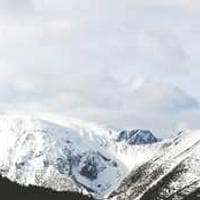 Prime Software Plc logo