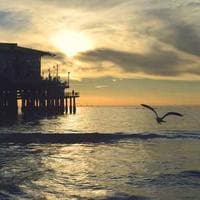 Uptrine Technologies logo