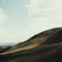 Wala ICT Consultancy logo